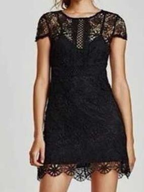 Zara Basic  Black Floral Lace Short Sleeve Mini Dress